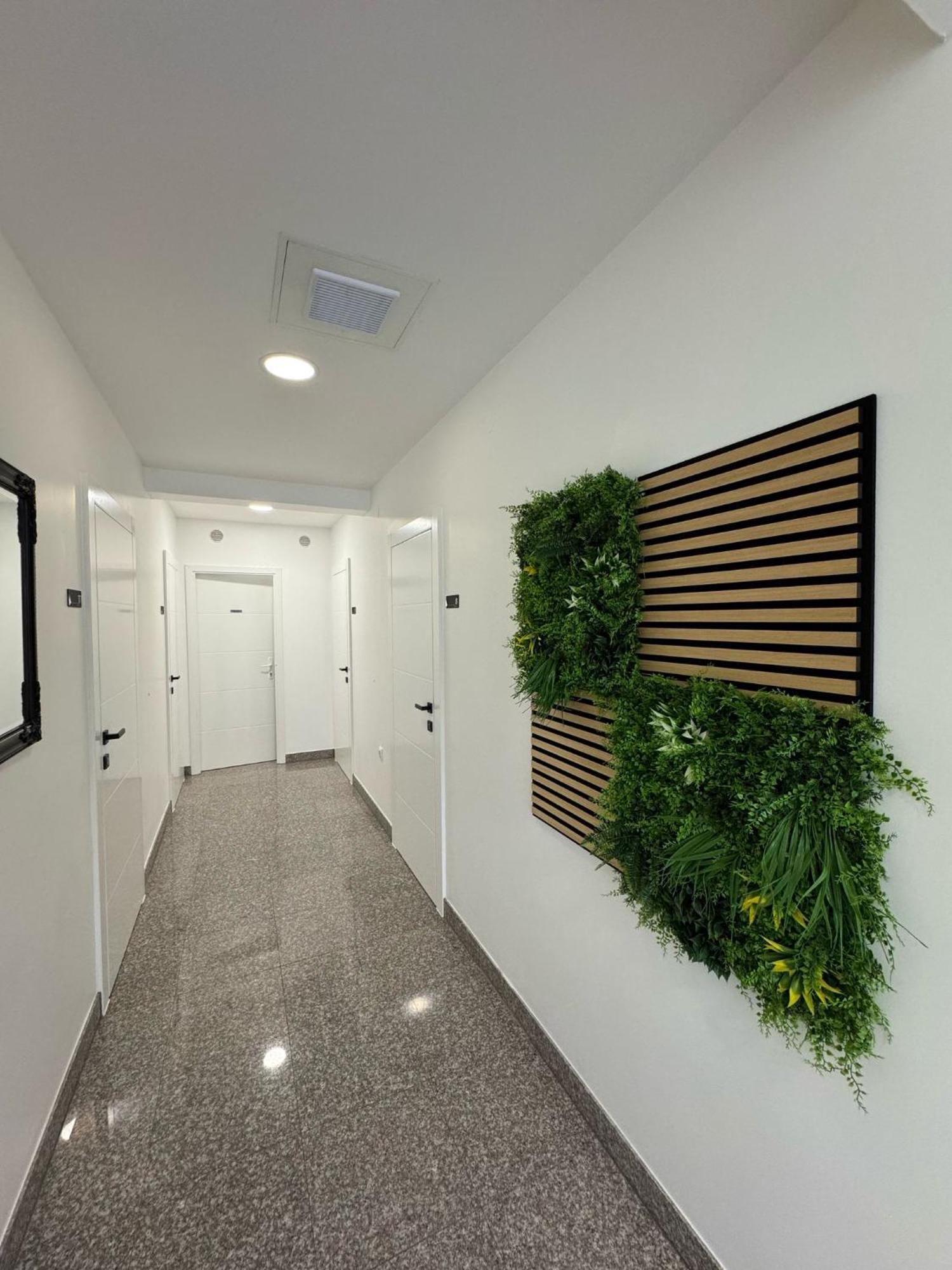 Villa Simovic Apartments Baška Voda Kültér fotó